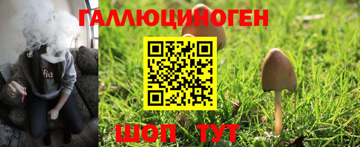 Псилоцибиновые грибы мухоморы Бирск